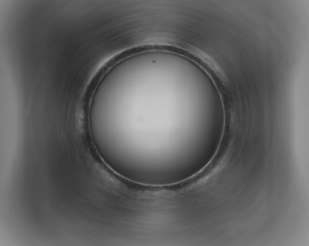 X0000110680926200906191402