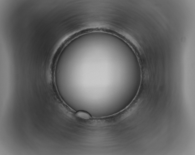 X0000110680927200906191402