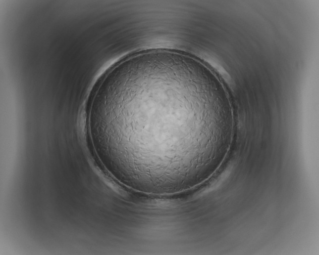 X0000110680933200906191402