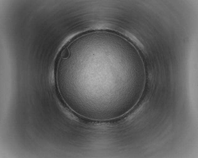 X0000110680934200906191402