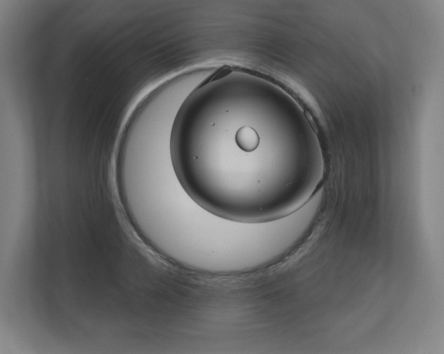 X0000110680936200906191402