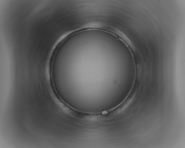X0000110680939200906191402