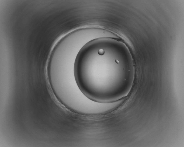 X0000110680944200906191402