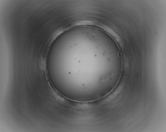X0000110680945200906191402