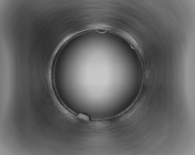 X0000110680947200906191402