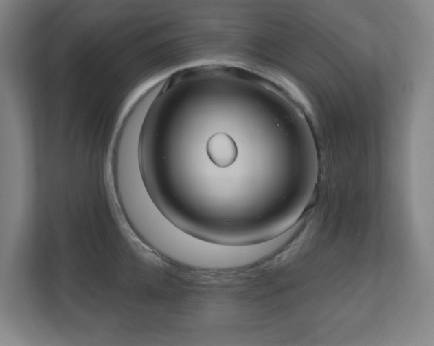 X0000110680952200906191402
