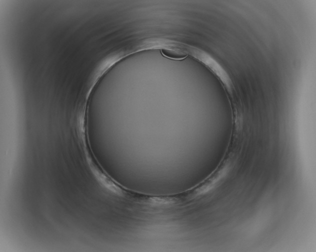 X0000110680954200906191402
