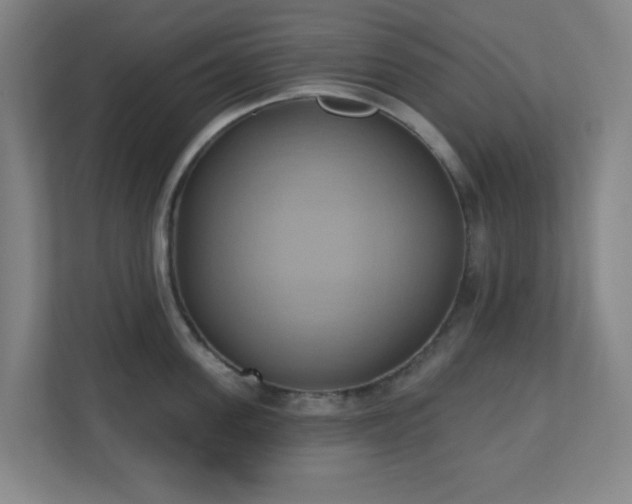 X0000110680955200906191402