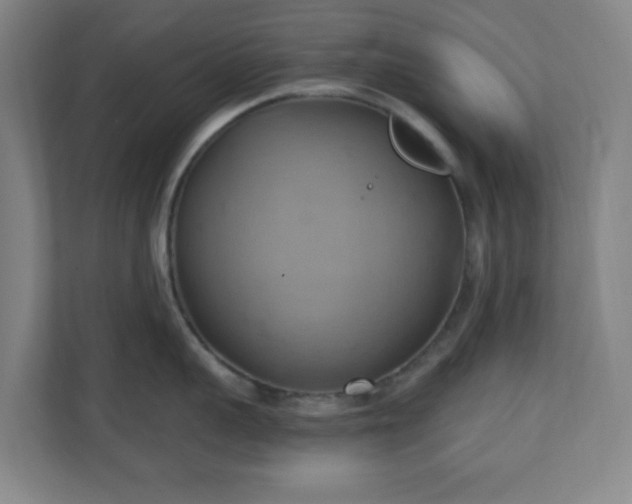 X0000110680959200906191403