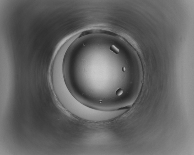 X0000110680960200906191403
