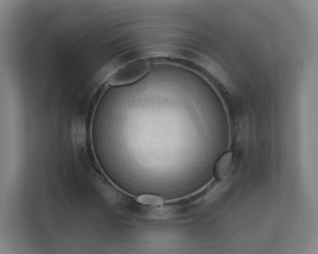X0000110680969200906191402