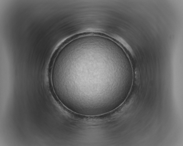 X0000110680972200906191402