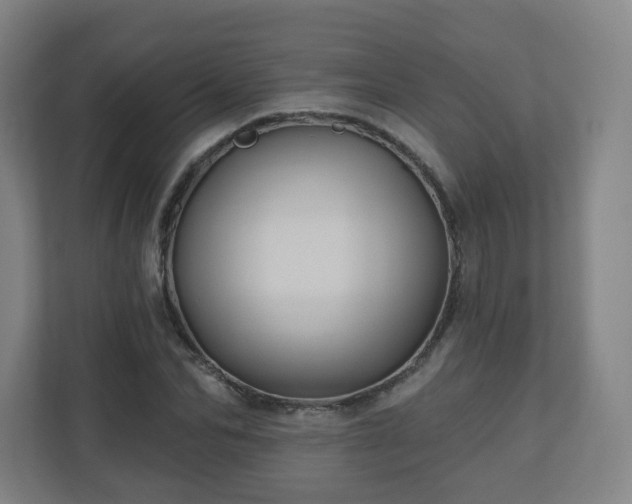 X0000110680974200906191402