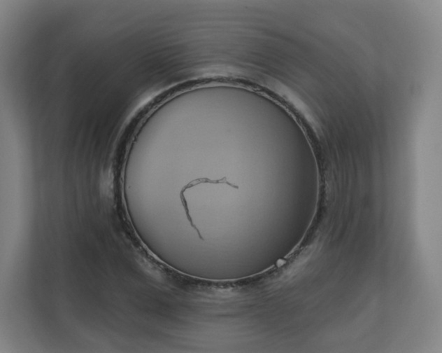 X0000110680975200906191402