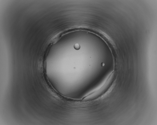 X0000110680977200906191402