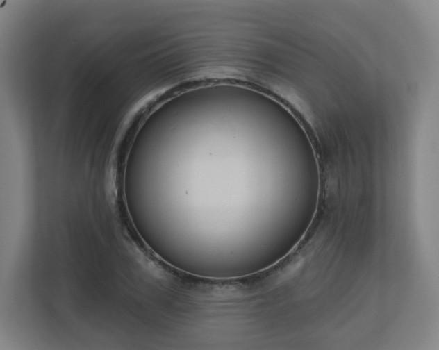 X0000110680979200906191402
