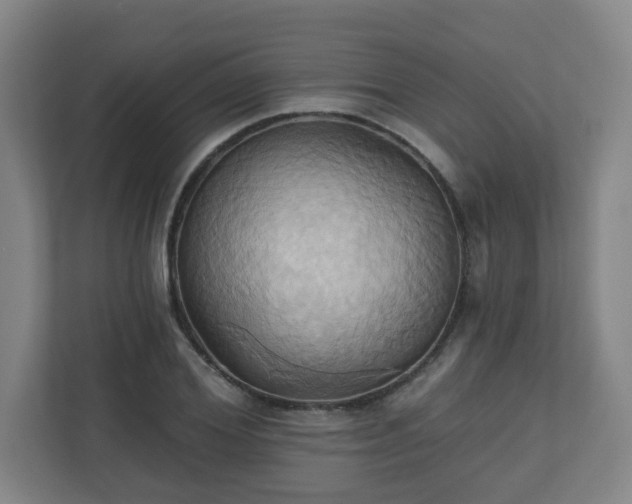 X0000110680980200906191402