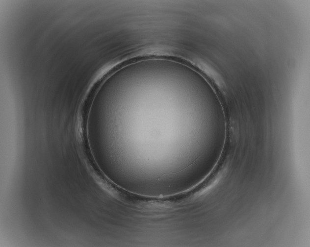 X0000110680981200906191402