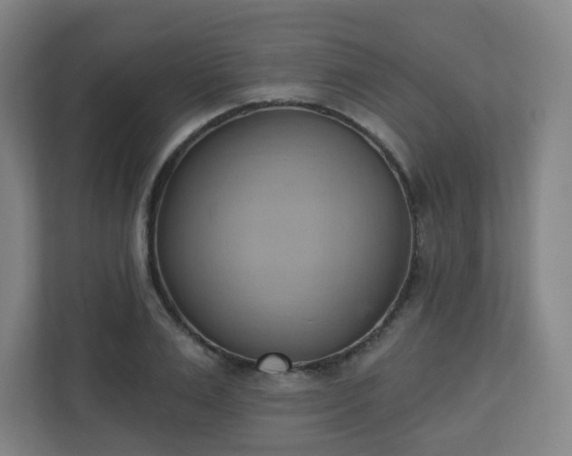 X0000110680983200906191402