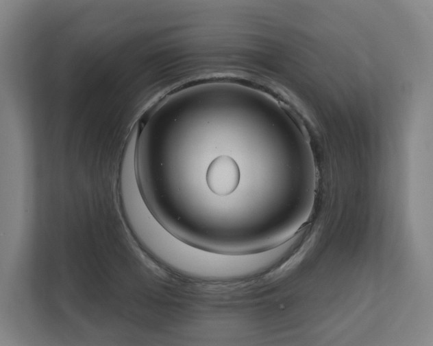 X0000110680985200906191402