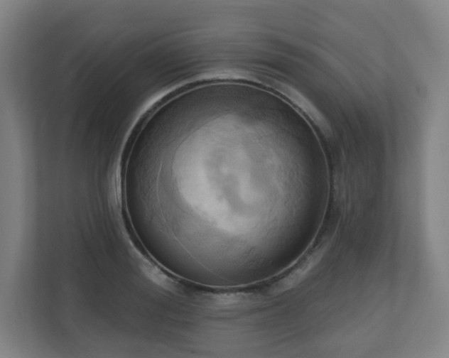 X0000110680988200906191401