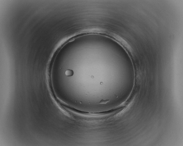 X0000110680989200906191401