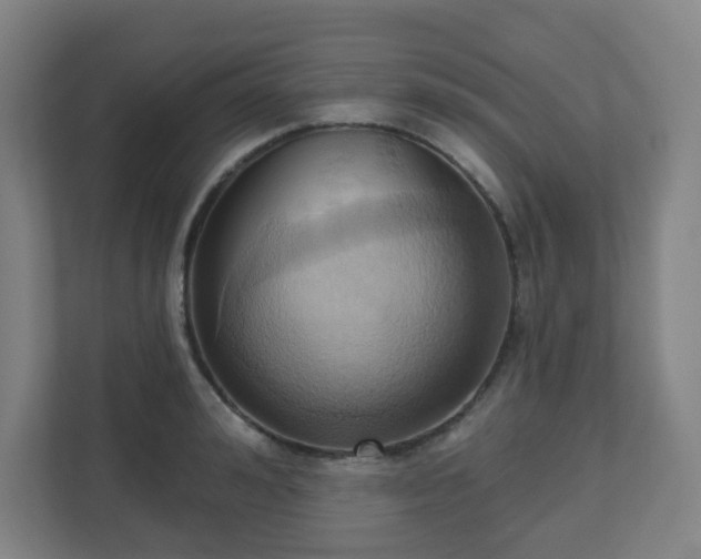 X0000110680992200906191401