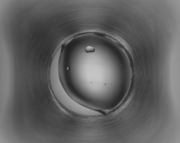 X0000110680993200906191401
