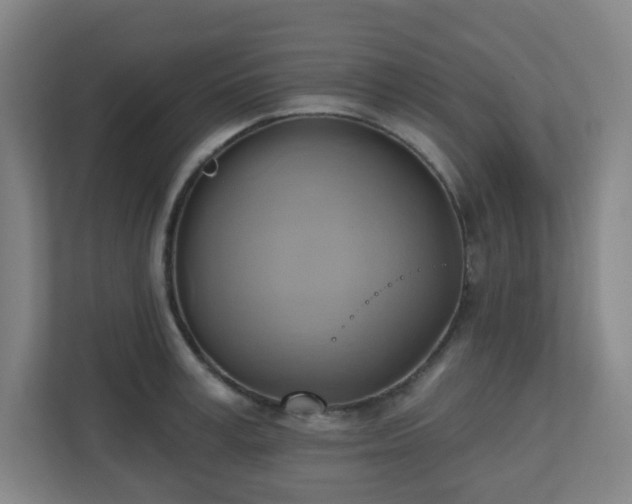 X0000110680995200906191401