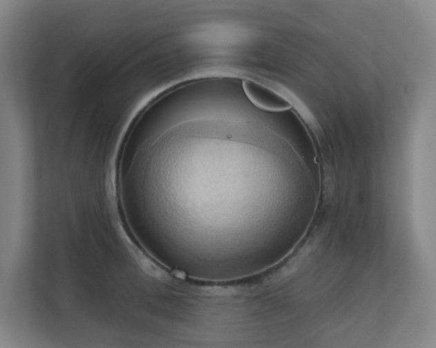 X0000110680996200906191401