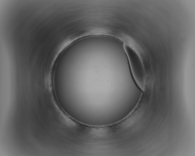 X0000110680997200906191401