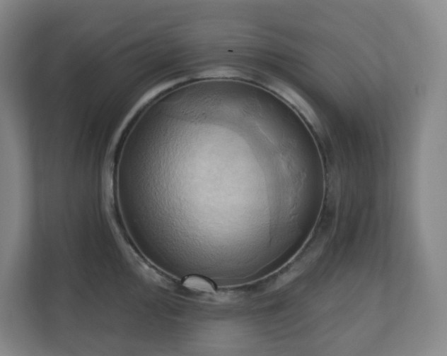 X0000110681000200906191401