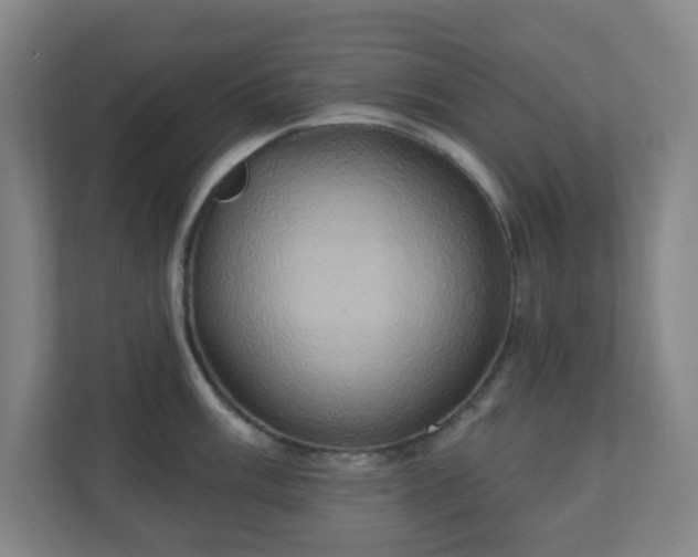 X0000110681003200906191401