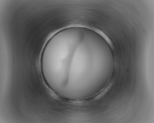 X0000110681004200906191401