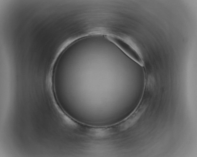 X0000110681005200906191401