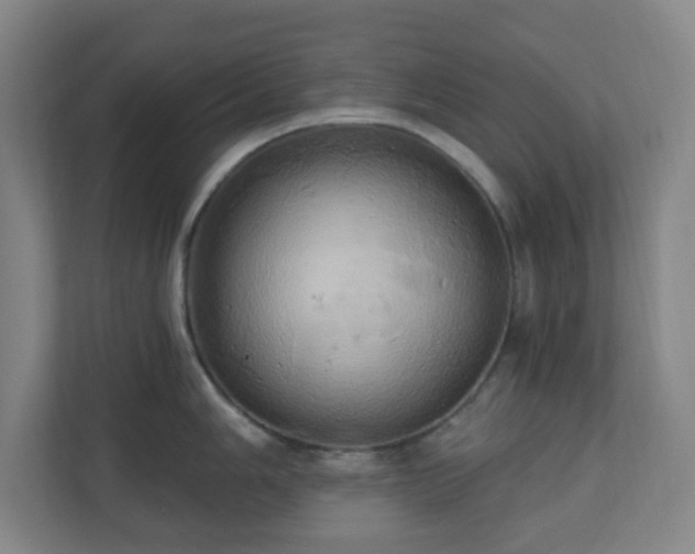 X0000110681006200906191401