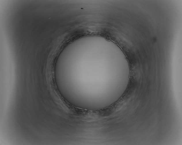 X0000110681009200906191401