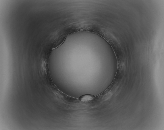 X0000110681010200906191401
