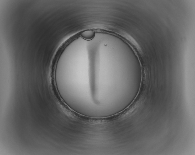 X0000110681020200906191401