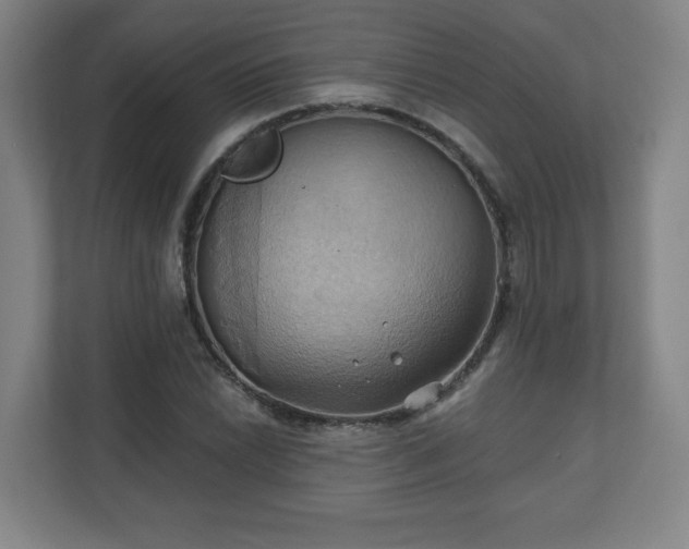 X0000110681022200906191401