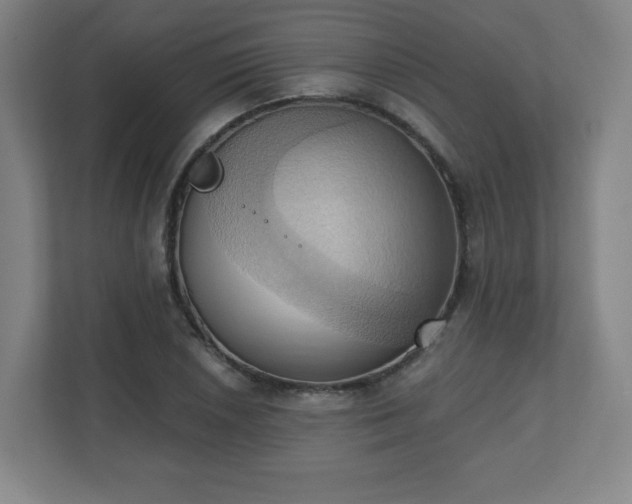 X0000110681026200906191401