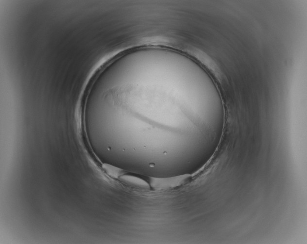 X0000110681032200906191401