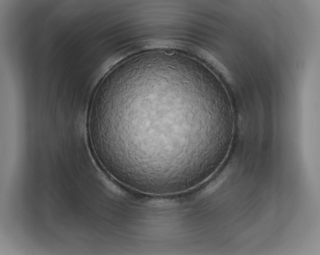 X0000110681033200906191401