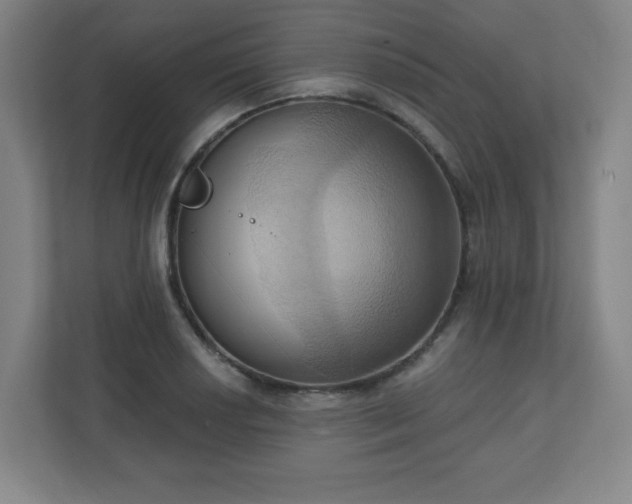 X0000110681034200906191401