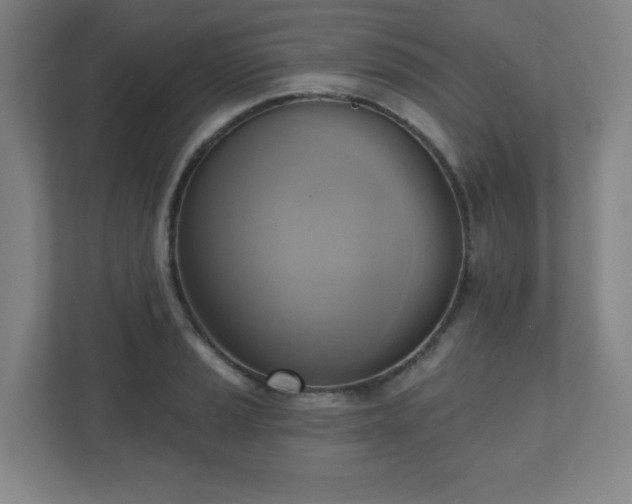 X0000110681037200906191401