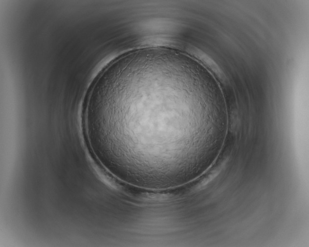 X0000110681039200906191401