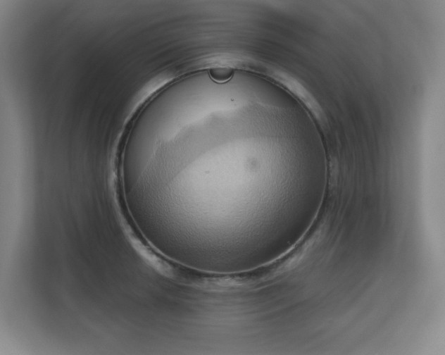 X0000110681042200906191401