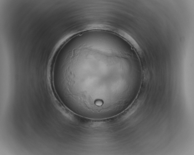 X0000110681043200906191401