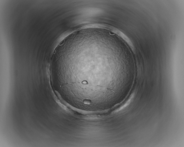 X0000110681049200906191401