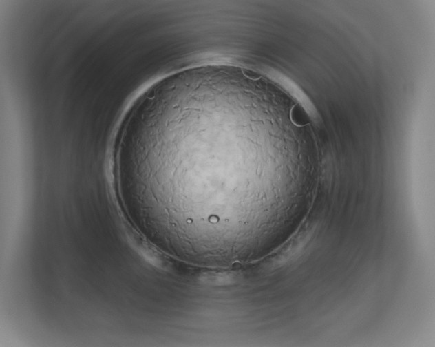 X0000110681051200906191401
